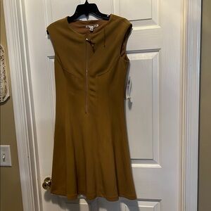 Elegant Tan Dress
